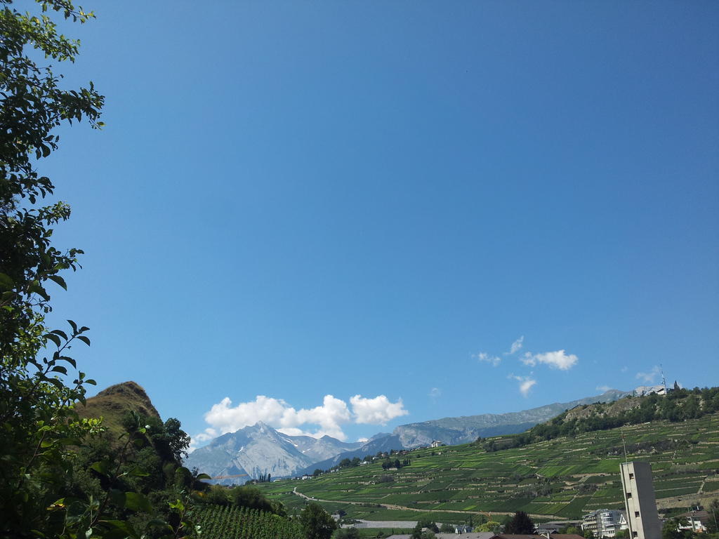 Guest house Le Merle Chatelain