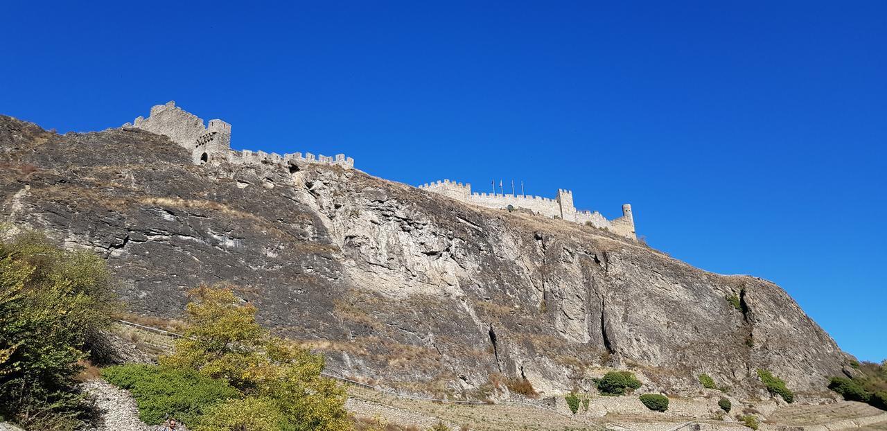 Le Merle Chatelain * Sion